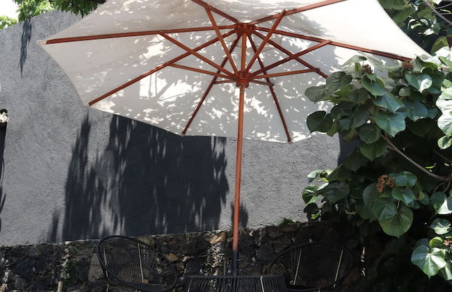 Bosque Geométrico - Foto 36