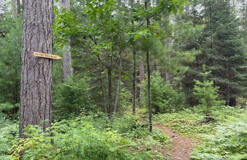 Cabin Retreat with Sauna Trails and Lake Access - Foto 22