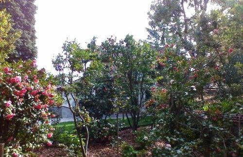 La Camelia d'Oro - Foto 30