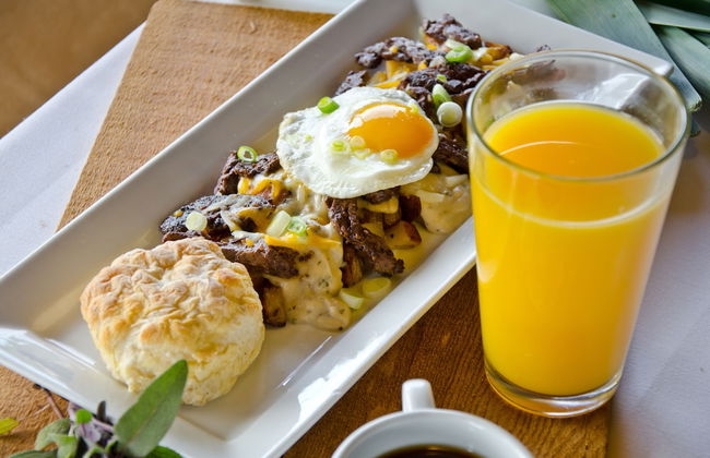 Zion Mountain Ranch - Foto 43