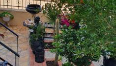 Maria’s Sunset House - Foto 3, Garden