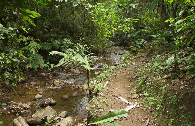 Villas Josipek - Foto 73