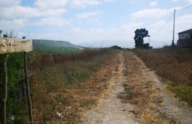 Su Cuile relax house with barbecue - Foto 33