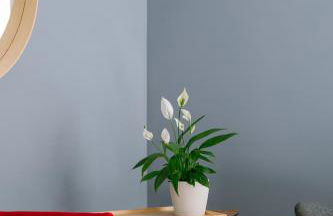 L'Appart du Faubourg 1 à 8 Personnes - Foto 66