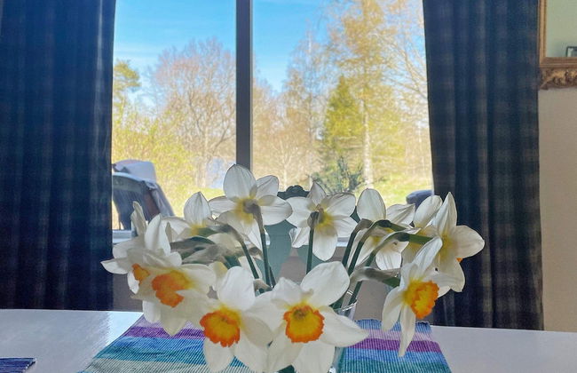 4 Person Holiday Home in Granna-by Traum - Foto 14