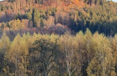 Pod Stromcem - Foto 43