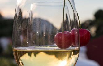 Apartments Željka - Foto 15