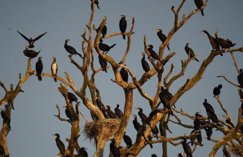 CICHAta Nad Zatoką - Foto 28