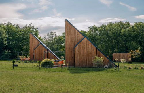 Zen Sasino - Foto 48