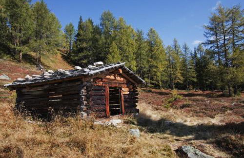Panorama-Apartments Oberkofl - Photo 55