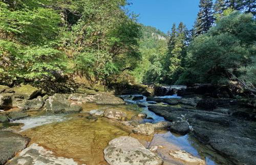 Le Chablis étoilé - Foto 32