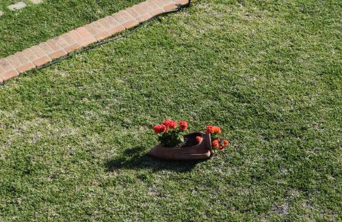 Al Boschetto - Photo 29