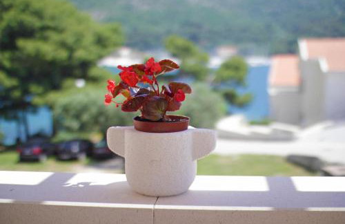 Apartments Nine Slano - Foto 44