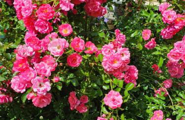 Le petit chalet de campagne - Photo 7