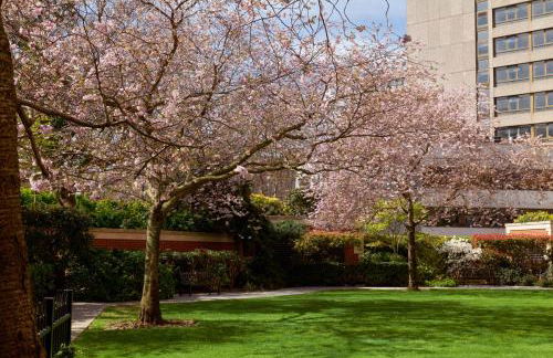 Cheval Gloucester Park at Kensington - Foto 120