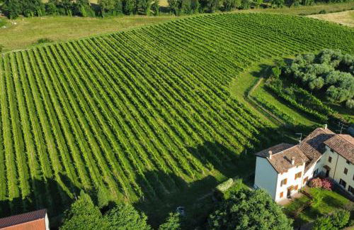 Melina's Wine Retreat - Foto 35