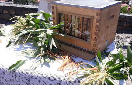 Apimonte Casa do Serra - PN Montesinho - Foto 77