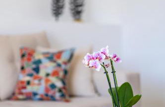 K&D Central Suite - Foto 19