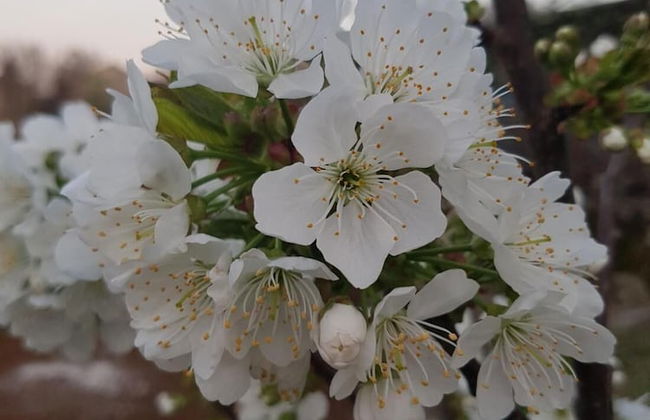 Vacation House Dunja - Foto 20