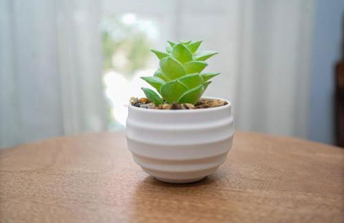 Family-Friendly 3BR Retreat Near Medical District, University of Illinois Chicago & West Loop - Foto 27