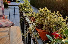 Casa Lorelein - Foto 31