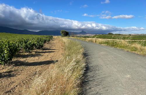 Four Bedroom Chalet with Private Pool in the Heart of Rioja Alavesa - Photo 25