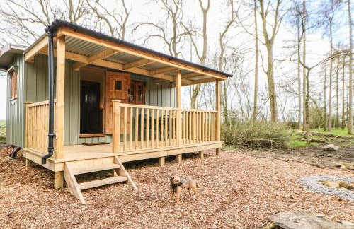 Bracken Fern - Photo 2