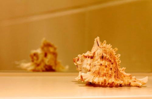 Ferienhof Am Holderbusch - Foto 35