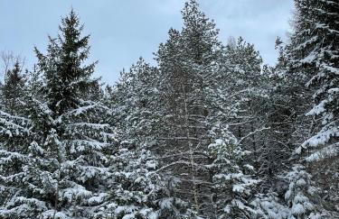House with a View - Modernes Ferienhaus in der Eifel - Foto 39