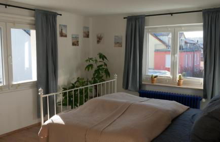 Großer Elefant - Foto 18