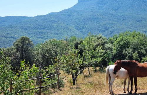 CAN QUEL - Escapada a la natura - Foto 20