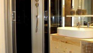 Les Sauges - Photo 5, Shower