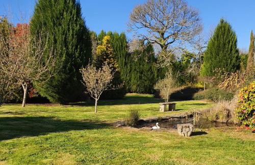 PORTA ESPERANZA - Foto 27