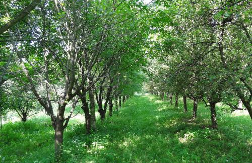 Apartament Parkowy - Foto 24