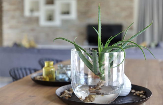 Discover the Attraction of Villa Umoja - Photo 14