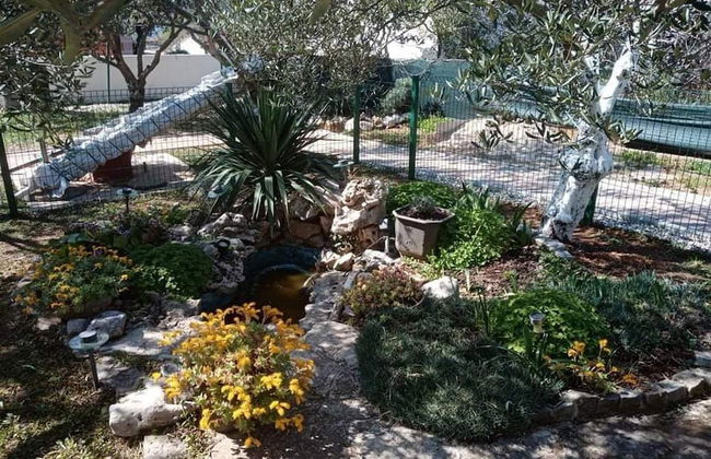 Apartments Marija - Foto 14