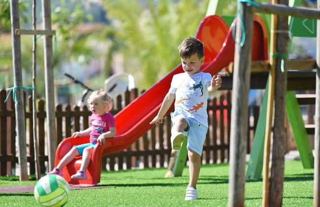 Vile Dalmacija - Photo 42