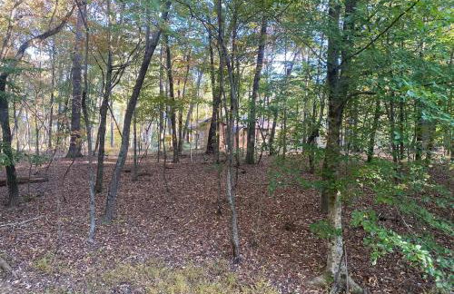 Quiet Forest Vacation home on a Private Road with Spacious Patios, Fire pit, Pet friendly and a Private pool - Foto 42