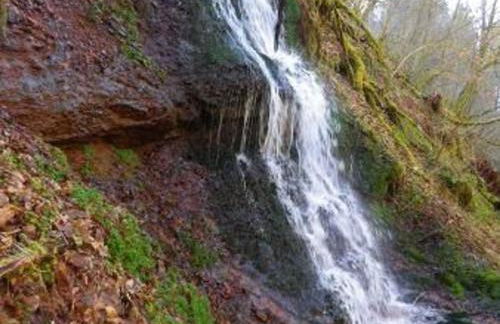 Gîte paisible au pied du Bassin de Champagney, animaux acceptés - FR-1-583-372 - Foto 18