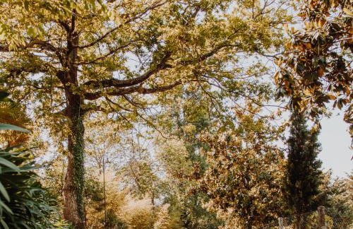 Quinta Do Padrao - Foto 41