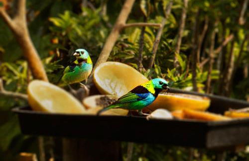 Casas aconchegantes com piscina na encantadora Praia das Cigarras - Foto 52