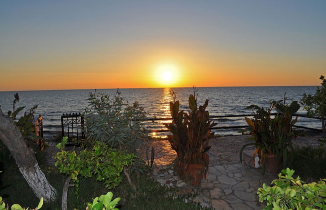 Beach House Yannis 3 in Agios Gordios Beach on Corfu - Foto 16