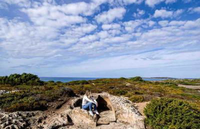 Ale house experience - Foto 18