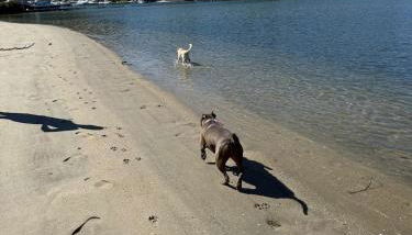 Apartamento pé na areia - Foto 3