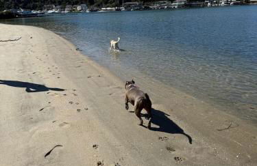 Apartamento pé na areia - Foto 3