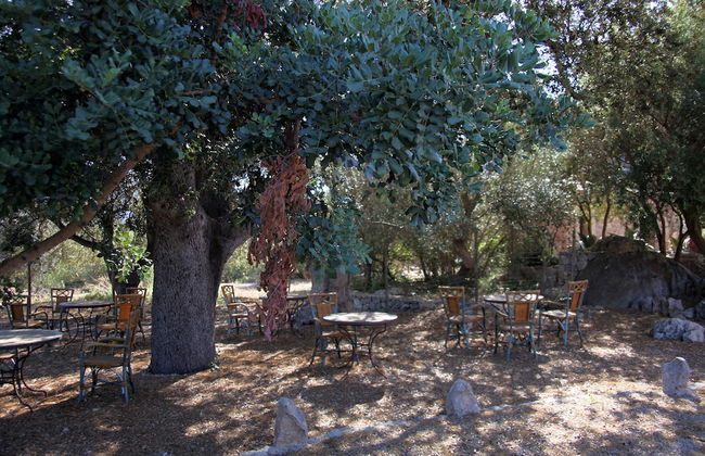 Ca's Garriguer Agroturismo - Photo 39