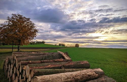 Ferienwohnung Aus-Zeit auf dem Lande - Foto 32