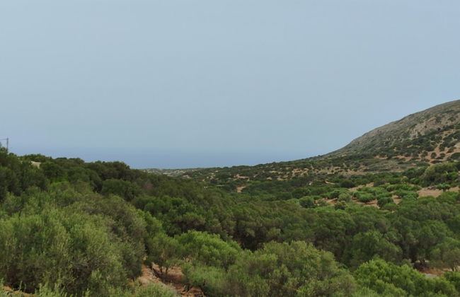 Almond Trees Villas - Foto 48