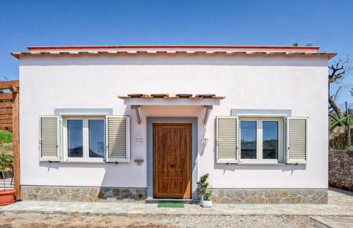 Albero di Giada - Foto 26