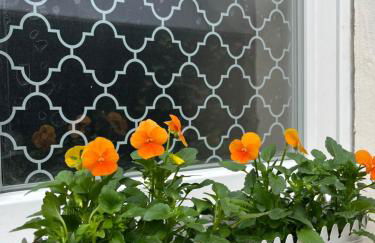 Dans Maison privée Appartement de charme, 70m2 avec pergola Et jardin à 15min centre de Strasbourg Chez Regine - Foto 11